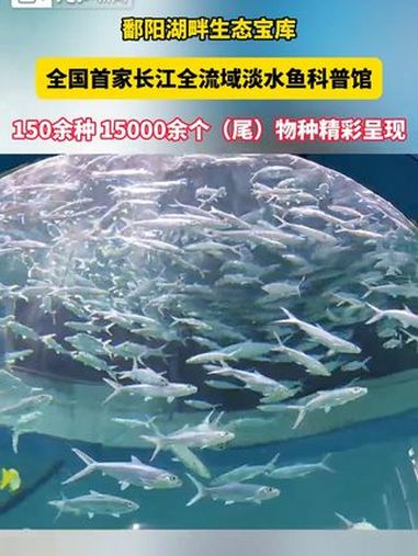 万千气象看江西|全国首家!长江全流域淡水鱼科普馆在湖口 150余种15000余(个)物种等