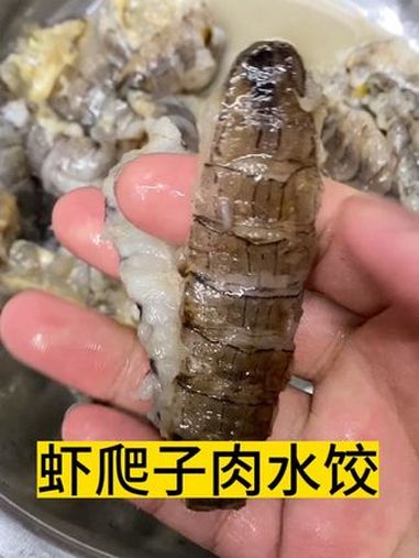 虾爬子水饺 海鲜饺子