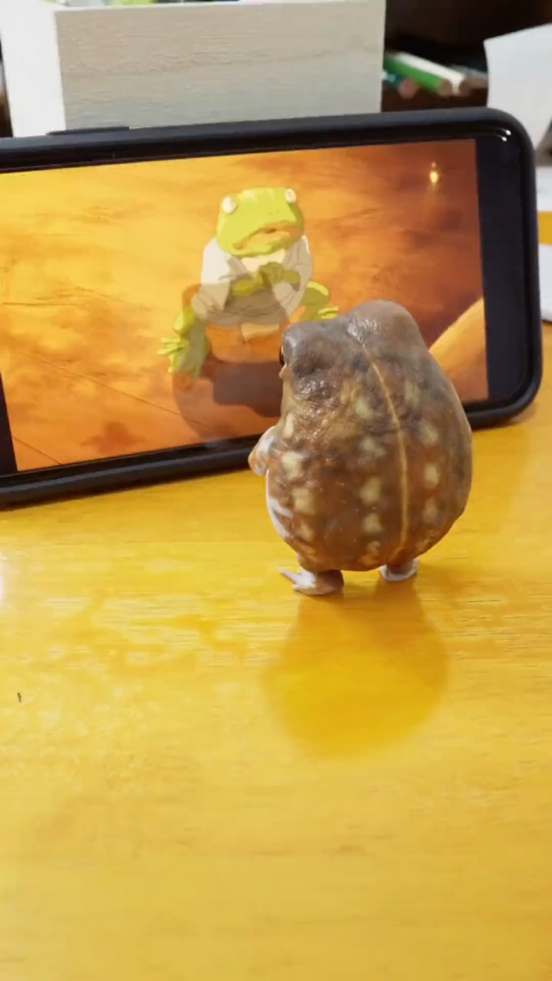 丑萌丑萌的可爱馒头蛙