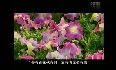 [图]「古诗词」《中华古诗词》(100集全):022 小池