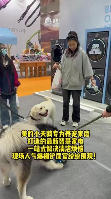 直击宠物展现场!美的小天鹅带着黑科技来啦
