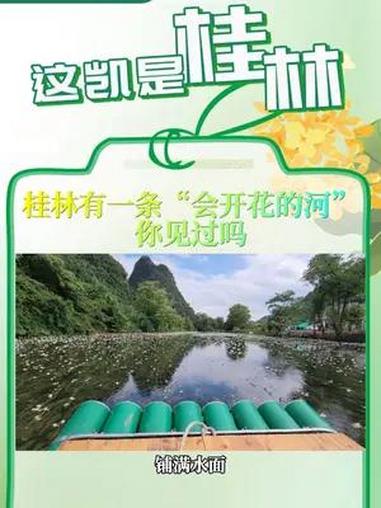 这凯是桂林,桂林有一条“会开花的河” 你见过吗?桂林 桂林山水甲天下 焕新桂林show经典
