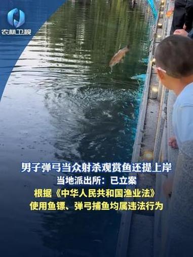 男子弹弓当众射杀观赏鱼还提上岸，当地派出所：已立案。根据《中华人民共和国渔业法》：使用鱼镖