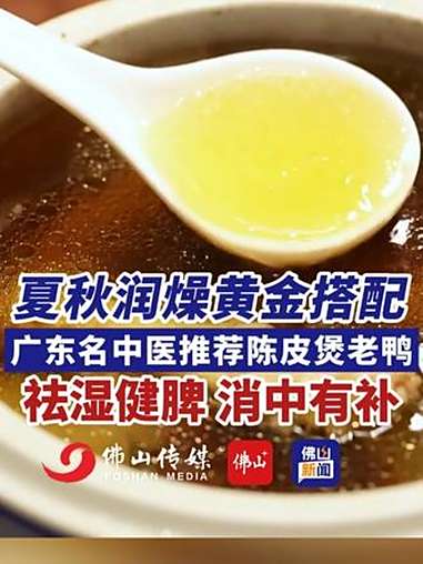 夏秋润燥黄金搭配!广东名中医推荐陈皮煲老鸭,功效祛湿健脾,消中有补!(编辑:罗啟浩;责编: