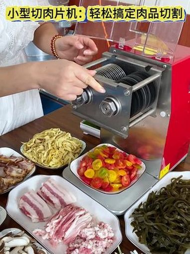 切肉片机 鲜肉切片机 切片机 肉类加工设备 切肉机