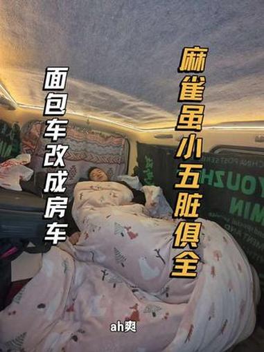 麻雀虽小五脏俱 全面包车改的房车看看怎么样#真实生活分享计划 #五菱之光改装#太阳能爱心灯