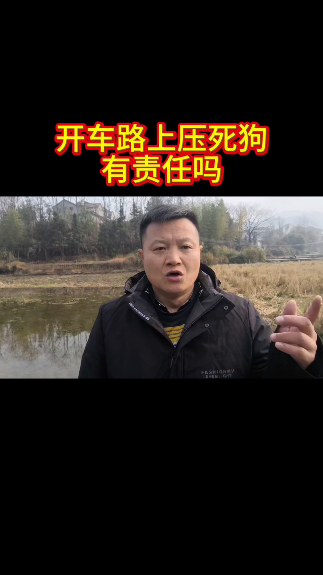开车正常行驶在路上,把狗和鸡压死了,怎么办?