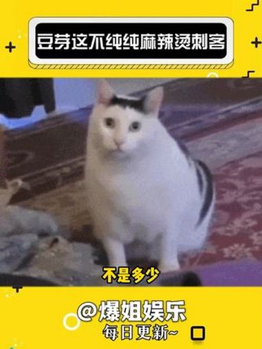 什么玩意儿 真是有点吃不起了 麻辣烫 万万没想到 豆芽 离谱 娱乐评论大赏