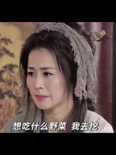 自我介绍 会挖野菜 王宝钏挖野菜