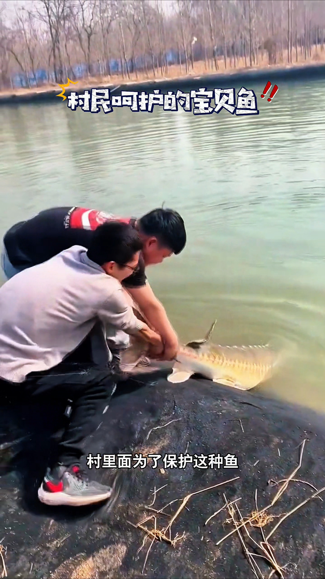 村长说有这种鱼在我们村里是一种福分,你们见过这种鱼吗?