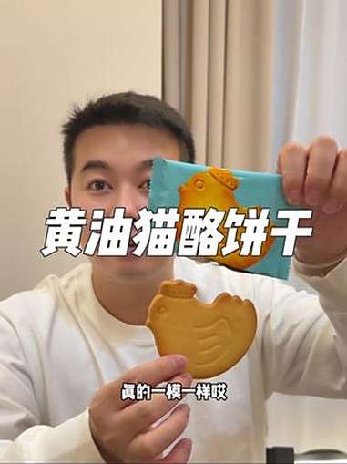 商家的审美很在线,关键还很好吃 猫包 猫饼 零食推荐 曲奇饼干 黄油饼干