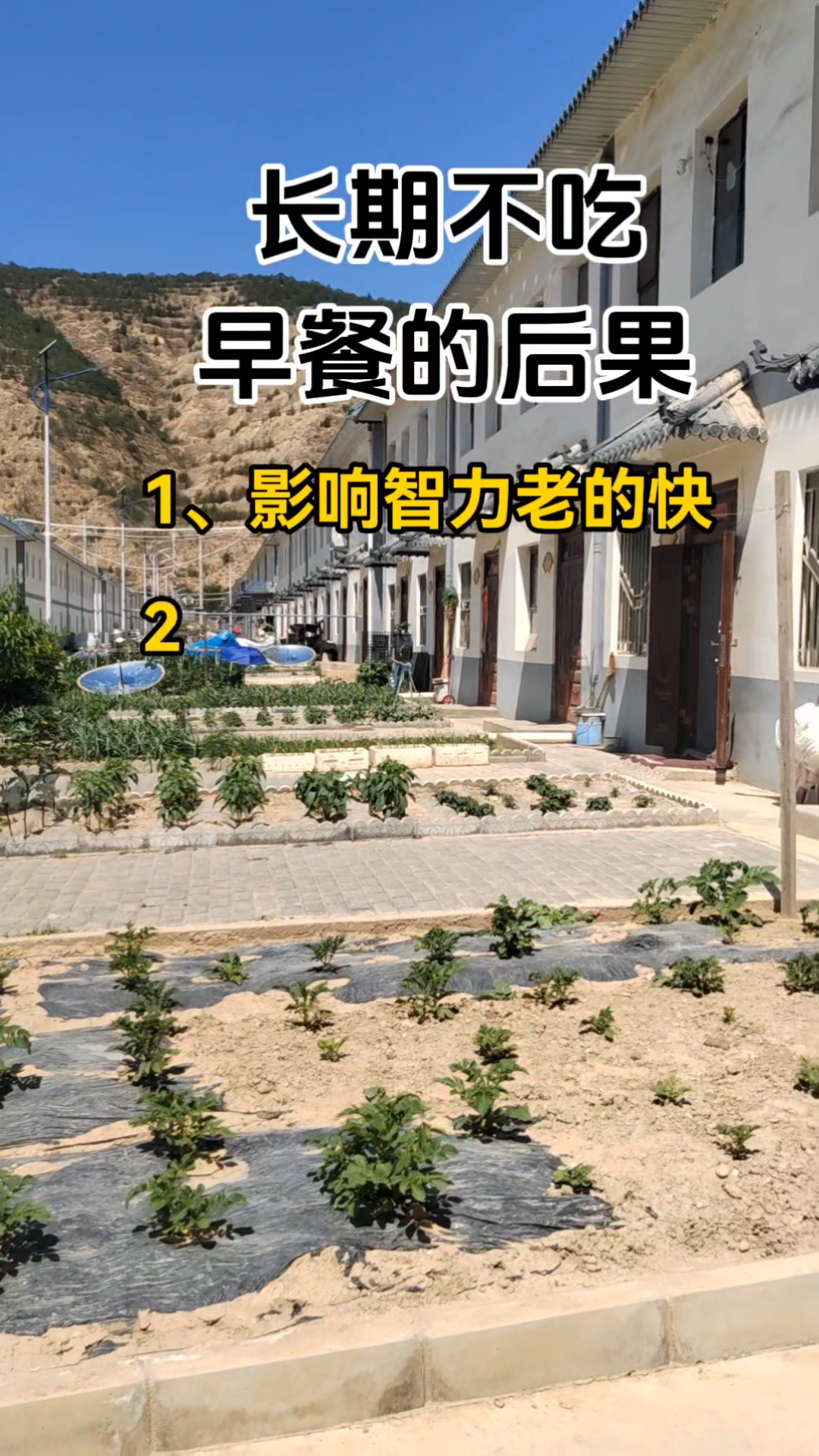 长期不吃早餐的后果