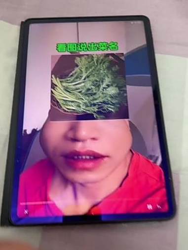 看图说青菜 就是豆芽