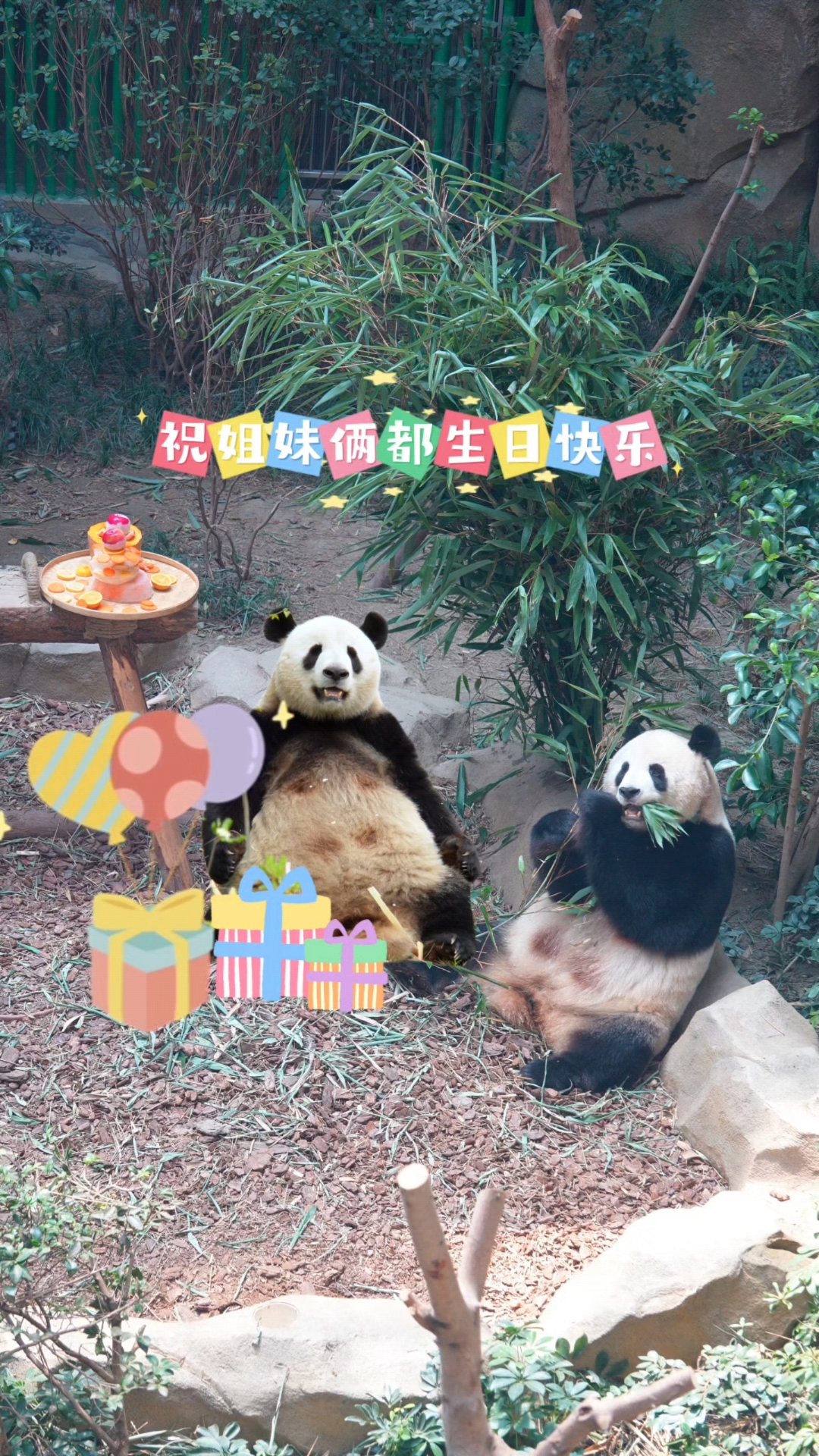 25.8.7祝妮大妮小生日快乐!只是今天的蛋糕～