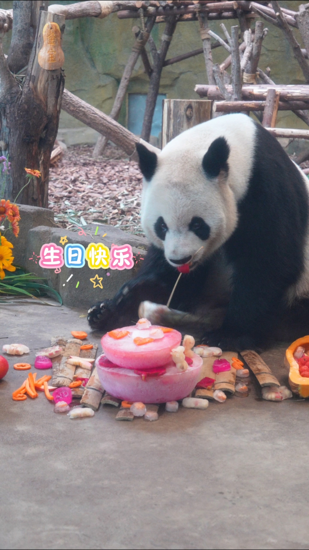 25.8.9基地太子爷金宝和粉色系蛋糕好配!