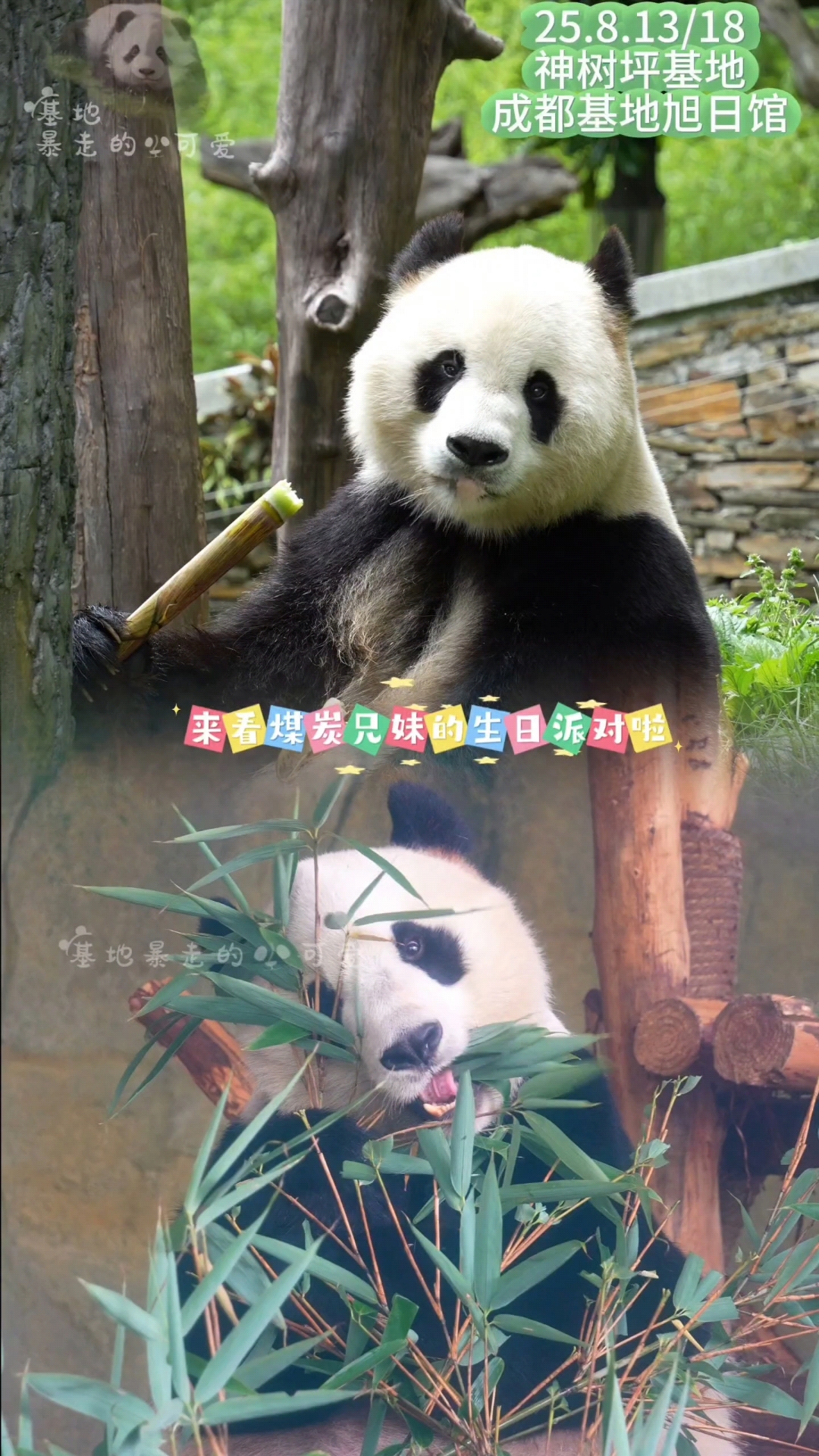 25.8.18来看煤炭兄妹的10岁生日派对啦～
