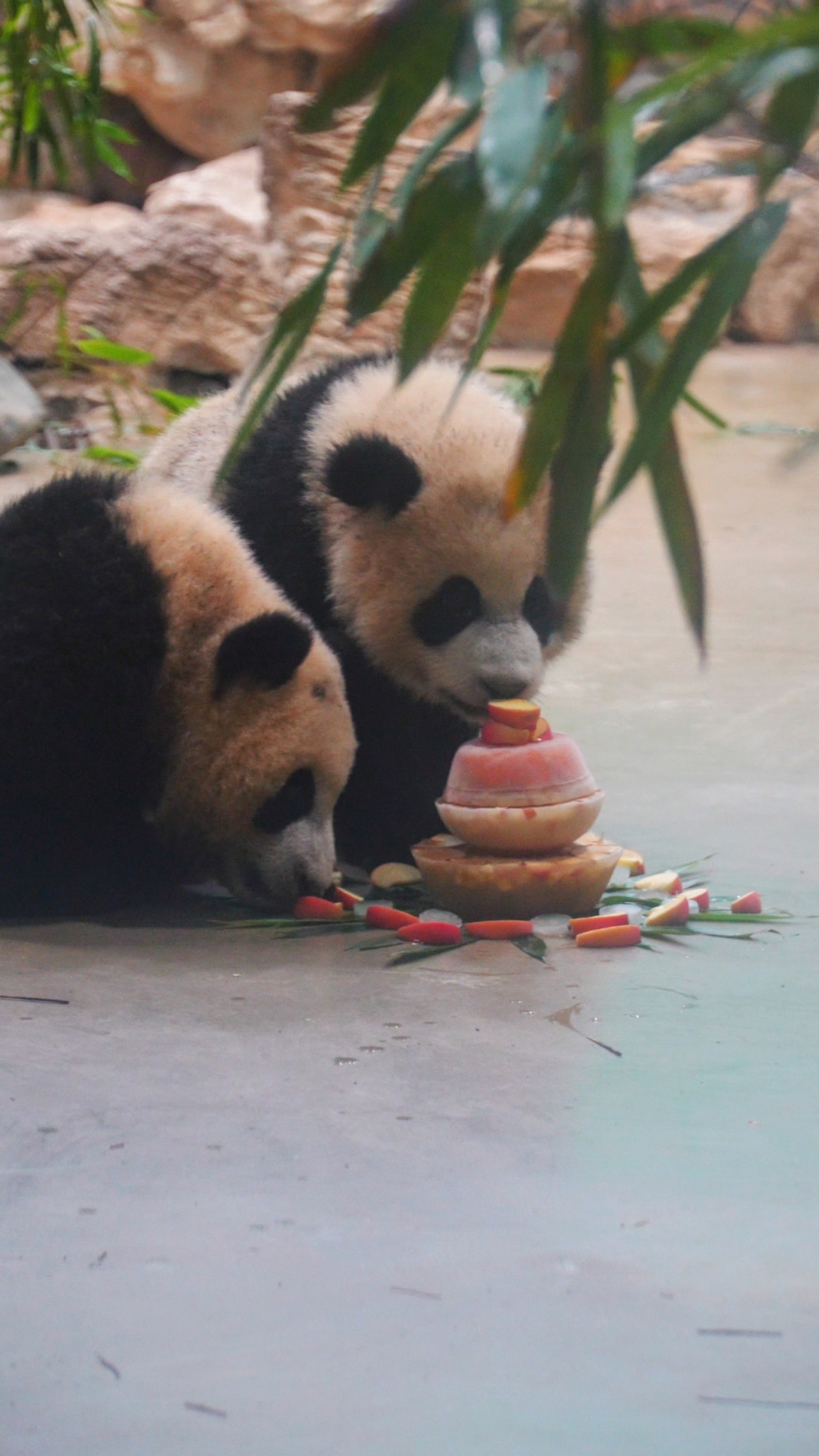 25.6.22科楠福笙在妈妈生日派对上吃美啦～