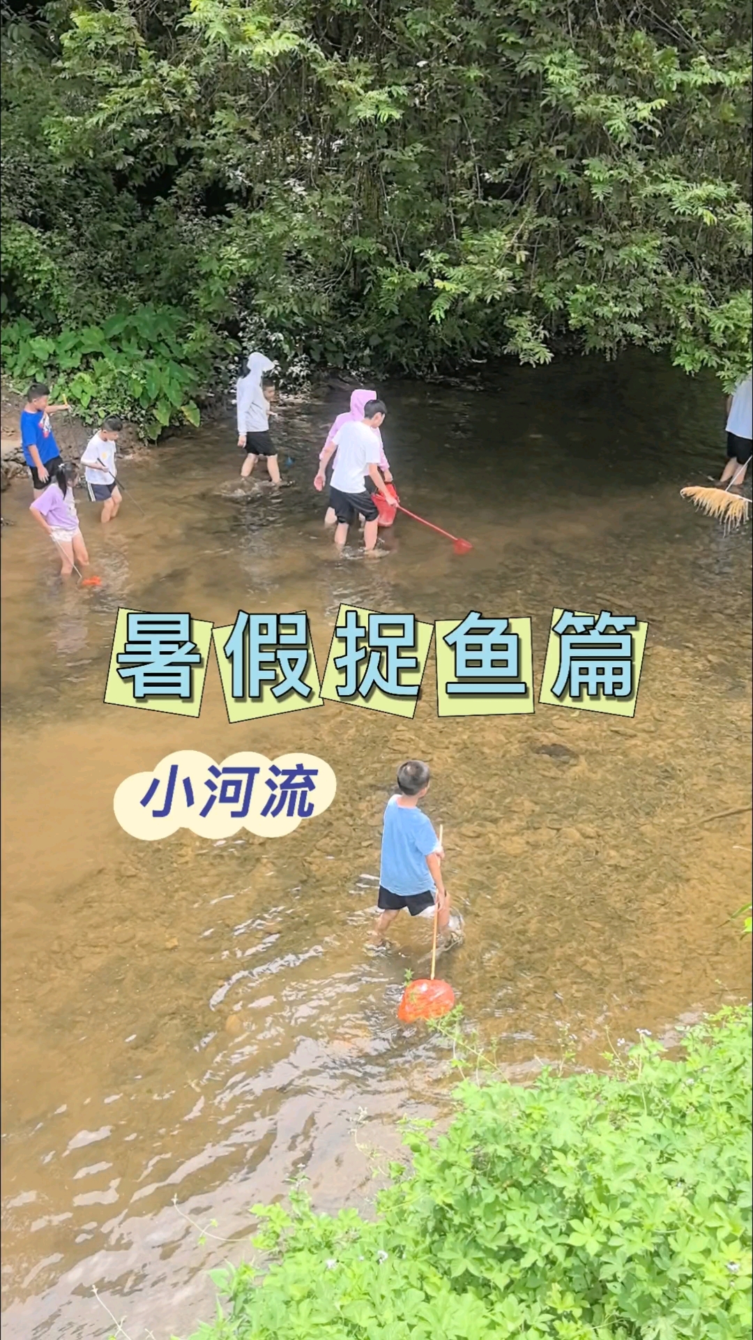 暑假捉鱼篇|小河里的“追鱼大战”,是暑假的专属热闹