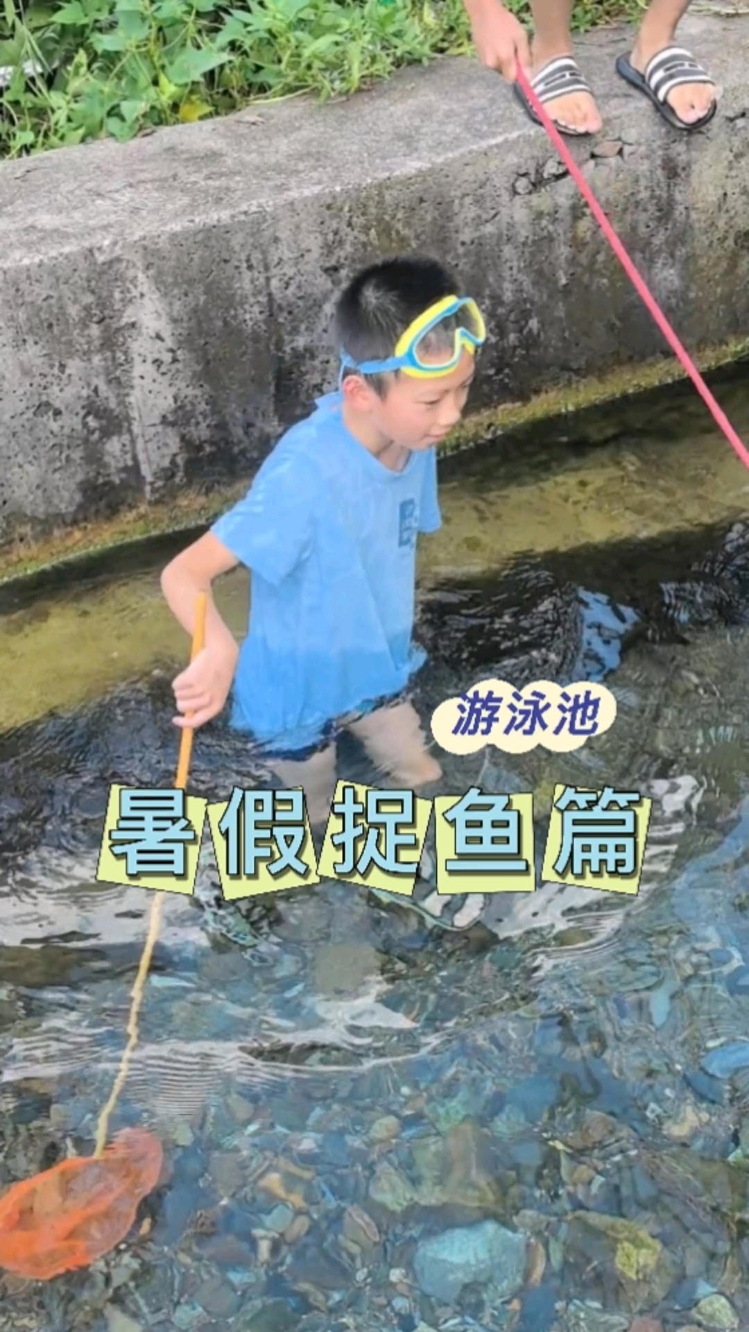 暑假捉鱼篇|泳池里的“意外收获”