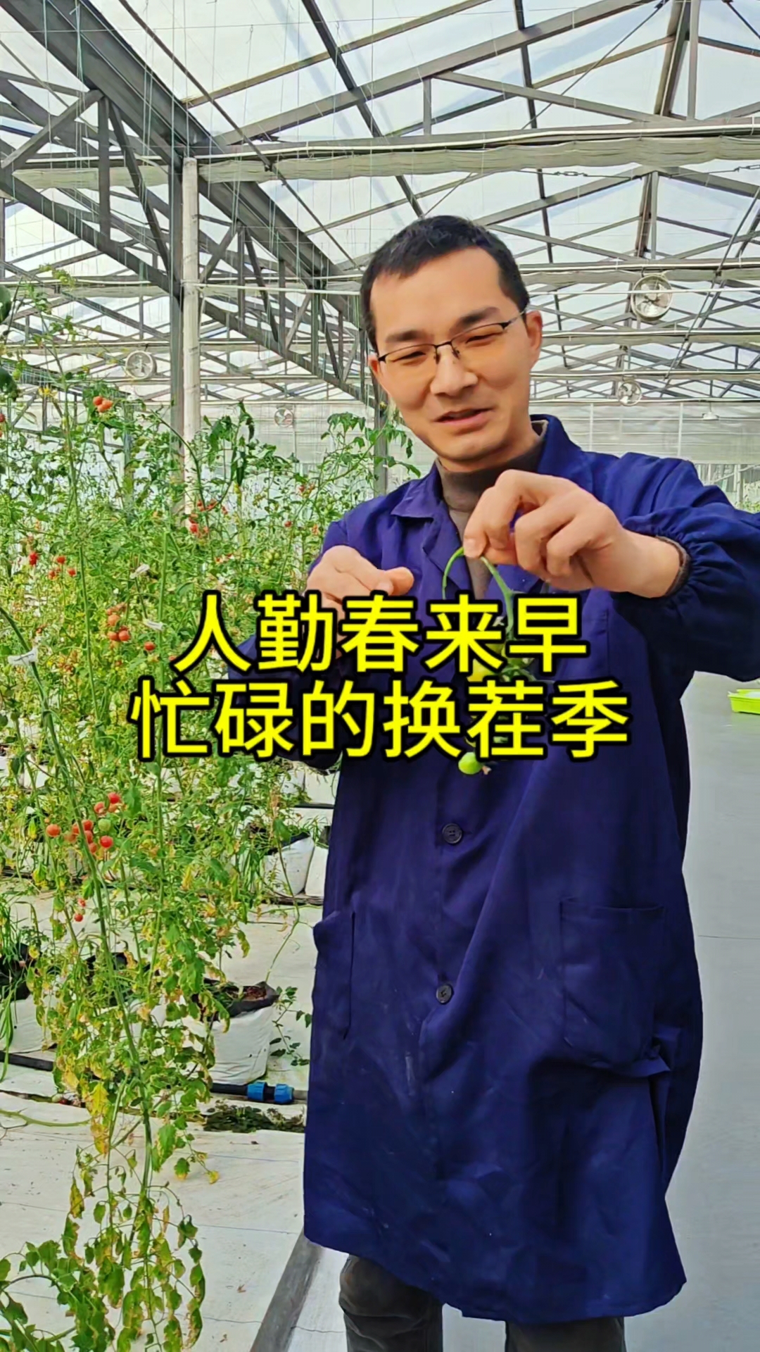 一年之计在于春,鱼菜共生农场迎来了忙碌的换茬季