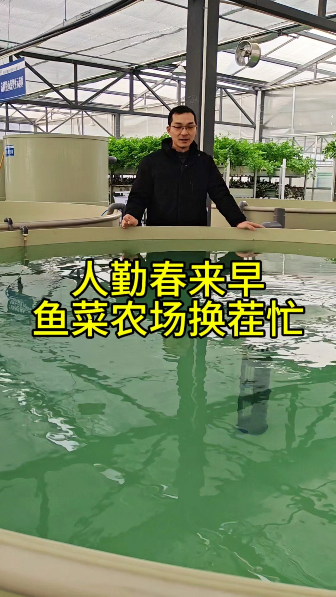 人勤春来早,鱼菜共生农场迎来了忙碌的换茬季~