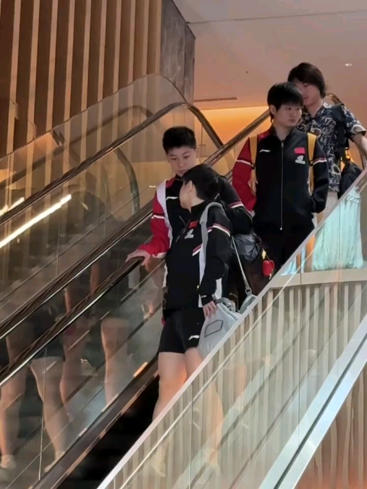酒店吃早餐的快乐小咪