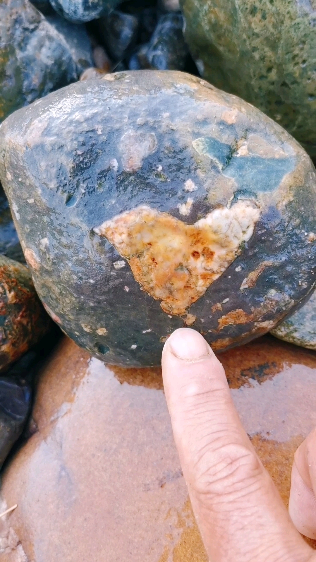 太可爱了，这不是中国版图，还是雄鸡的图案