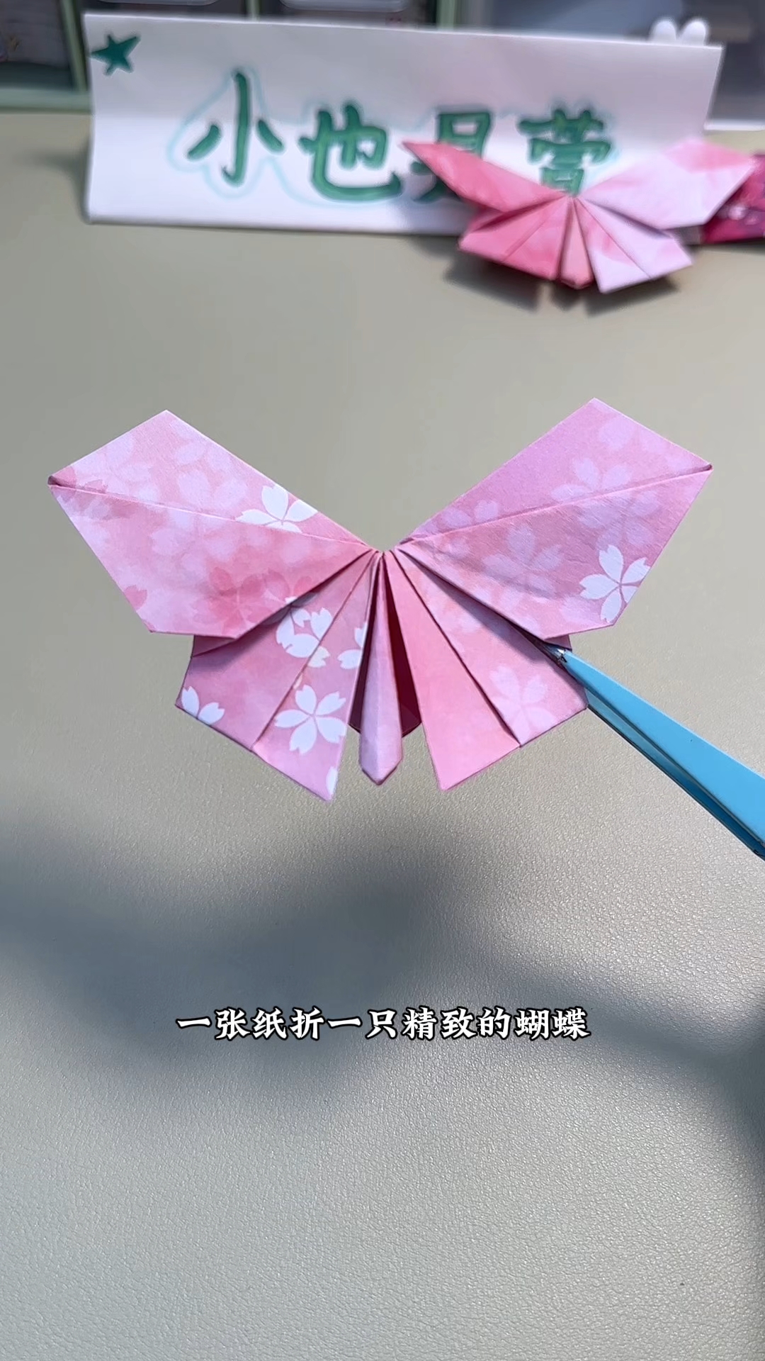 折一只精致的蝴蝶
