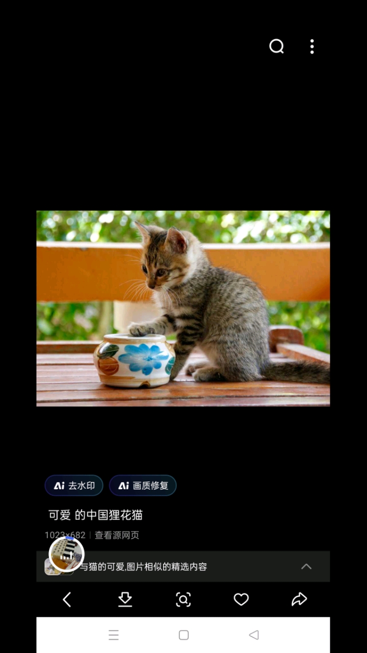 小猫的可爱照片给大家整理好了!