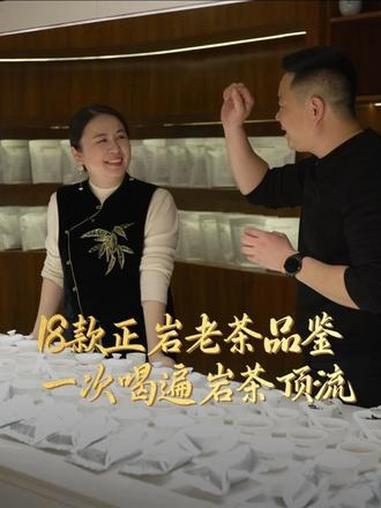 老茶客的终极梦想!18款正岩老茶品鉴,一次喝遍岩茶顶流 #武夷岩茶 #茶生活 #乌龙茶