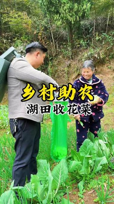 乡村助农,为什么这么多人都喜欢吃农家菜!因为农家菜是种在空气好水好山沟沟里,加上用的全部是