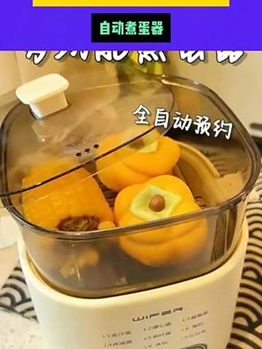 Wifer/英国煮蛋器智能预约自动断电，让您的早餐更方便健康安全温馨！-8.16