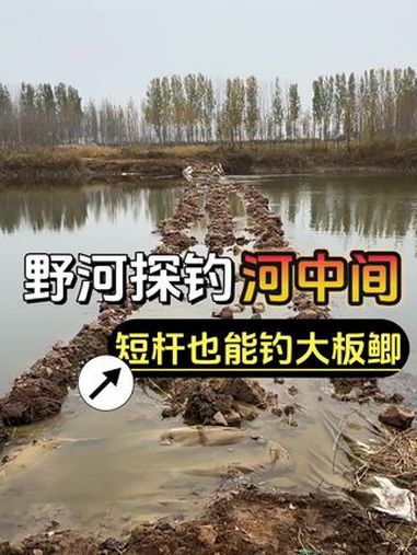 天冷短杆也能大板鲫连杆 入冬钓鱼指南 钓鱼王地狱猫 佳钓尼小冈豆 野河野钓 解锁秋冬钓鱼爆