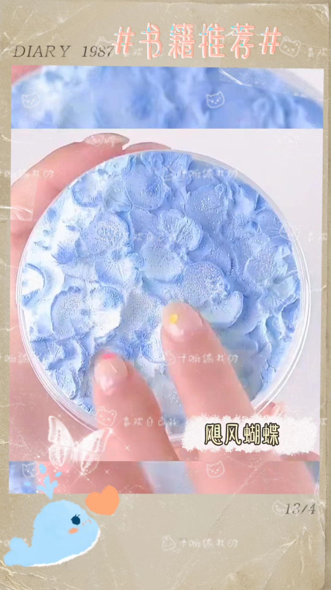 蝴蝶与鲸鱼～