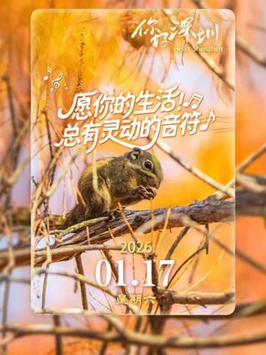 松鼠的忙碌让焦糖色的树林有了心跳。愿你所有的奔赴,都能在岁月里酿成笃实的丰饶。#你好深圳 