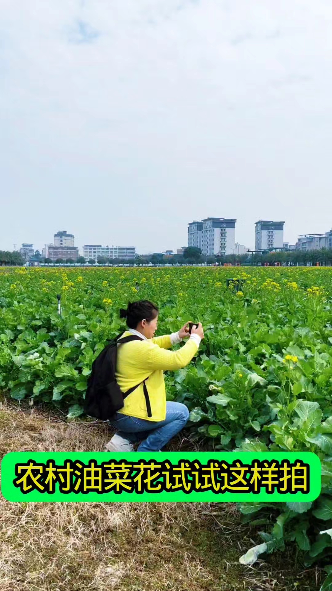 农村油菜花试试这样拍，太美了#记录真实生活 ##拍摄