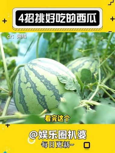 4招挑好吃的西瓜,你学会了吗 娱乐评论大赏 西瓜 西瓜怎么挑选 科普