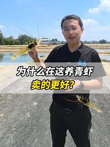 为什么在这里养青虾卖的更好?水产养殖 养虾 青虾养殖 鱼虾蟹养殖 水质监测