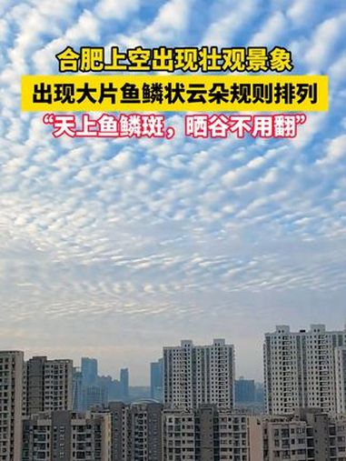 9月25日一早,合肥天空布满大片规则的云块,壮观的景象吸引不少市民抬头观望。安徽省气象台相