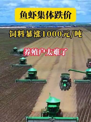消费降温,多条鱼虾价应声下跌。鱼粉价格走高,直接带动饲料生产成本全线攀升,多品种饲料价格出