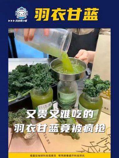 想要减肥还是管住嘴、迈开腿最靠谱!喜茶纤维瓶 夏日饮品 好喝的奶茶 羽衣甘蓝