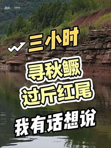 路亚探钓秋天的鳜鱼,还有斤级蒙古红鲌,慢节奏记录荒山钓三小时 视频浓缩到一分多钟,我就想知