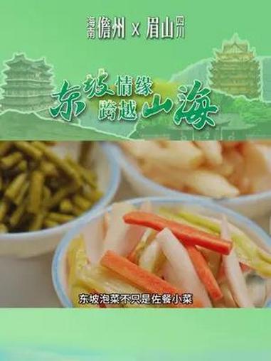 东坡情缘跨越山海|东坡家乡泡菜满城香 小泡菜“泡”出百亿产业 儋州眉山城市cp联动宣传 儋
