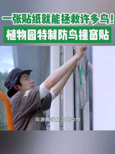 看到大量因鸟撞死亡做成的鸟类标本,胡歌 @演员陈龙 @林一 @无穷小亮的科普日常 感到触目