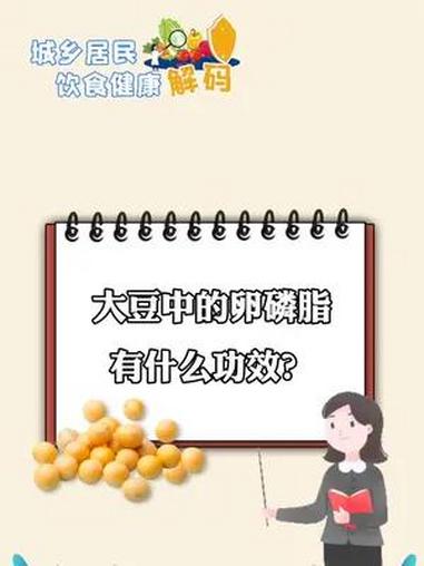 大豆中的卵磷脂有什么功效?