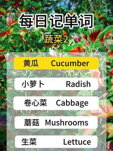 每日记单词-绿色蔬菜 今日英语单词速记来了，快来欧亚外语学英语吧！#英语#英语单词 #学英