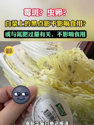 白菜叶上的小黑点通常是“芝麻状斑点病”,这是一种生理性病害,但并不影响食用