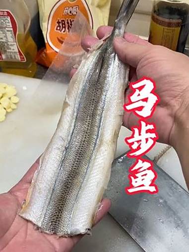 吃烧烤吃的马步鱼就是这个大棒鱼，可以拍片炸，圆柱炸，还有的炖地瓜叶叶吃。水面上活动，有用筷