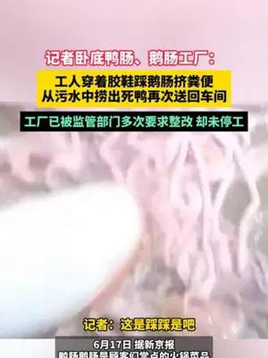 6月17日(报道时间),记者卧底鸭肠、鹅肠工厂:工人穿着胶鞋踩鹅肠挤粪便,从污水中捞出死鸭
