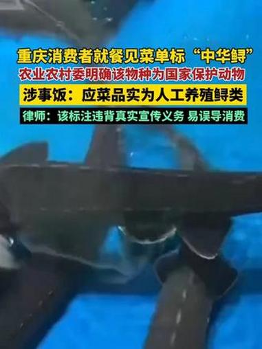 重庆消费者就餐见菜单标 “中华鲟”，农业农村委明确该物种为国家保护动物涉事饭店回应菜品实为